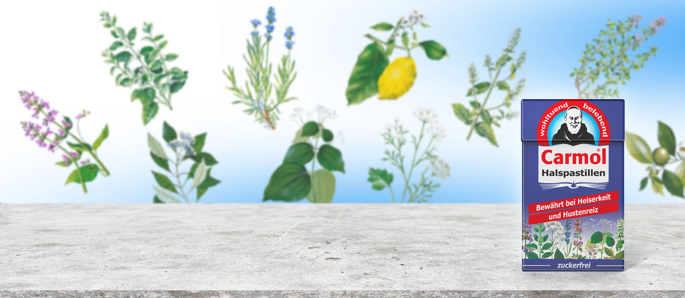 Carmol, Tropfen, Äußerlich, Carmol Tropfen, Homöopathie,
Schuck GmbH, Carmol Tropfen, Carmol Pastillen, Apotheke, Heilpflanzen, Schulter und Nackengel, Muskelcreme, Heilpraktiker
